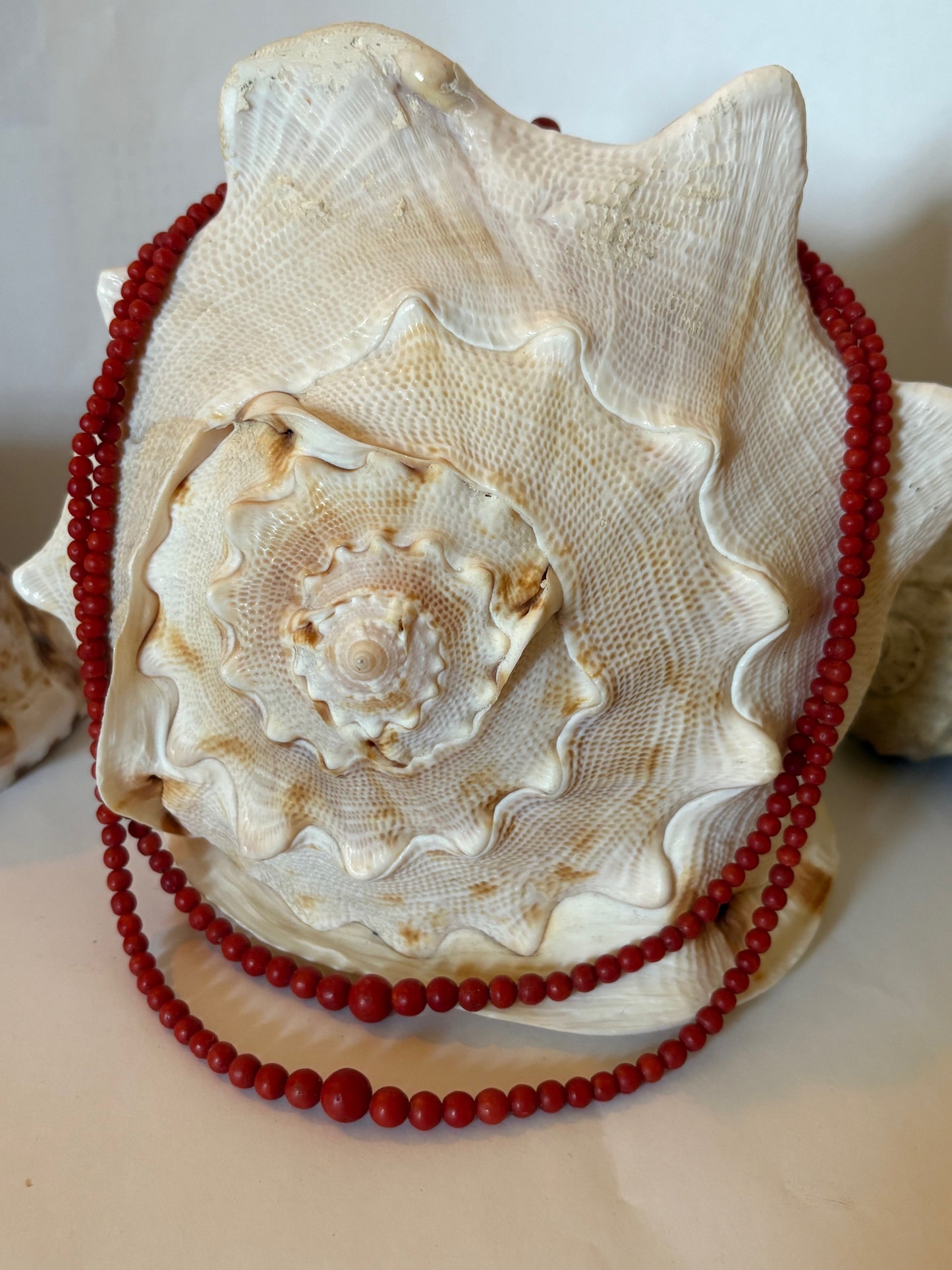 Art-Déco Vintage Korallenkette mit 800er Silber Verschluss – 47 cm Rot-Orange