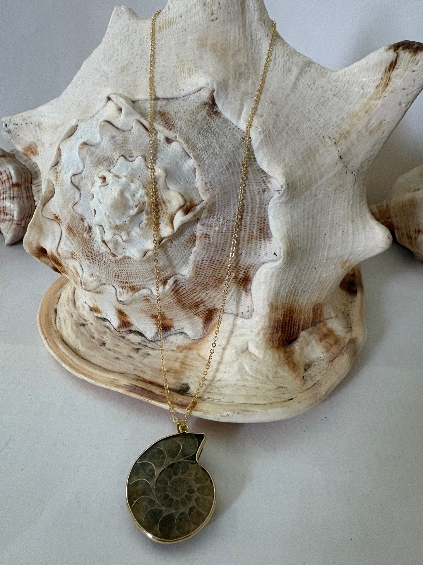 Vintage-Halskette mit Ammonitenfossil-Anhänger aus Madagaskar, vergoldete Kette